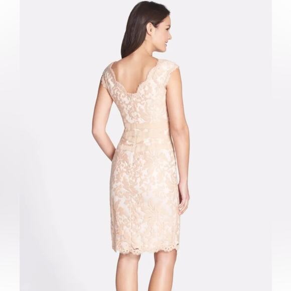 Tadashi Shoji Embroidered Lace Banded Waist Blush Primrose Dress 6 - Picture 2 of 10